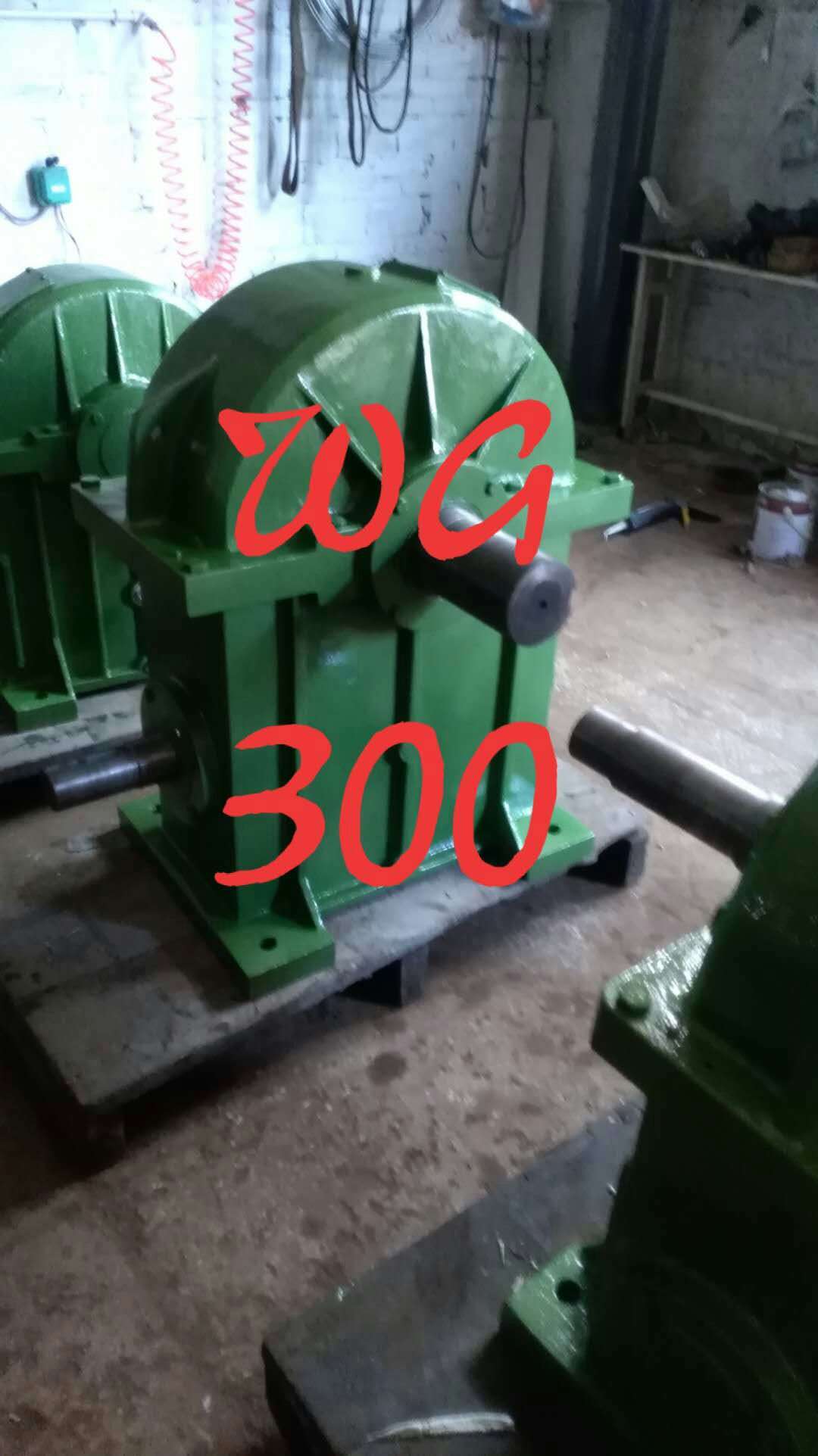 WG300